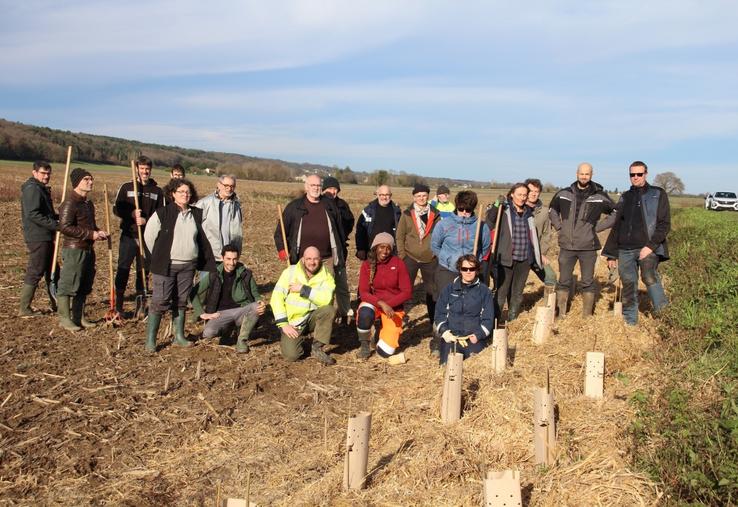 L'objectif de la plantation est de favoriser la circulation de la faune, principalement les oiseaux et les insectes pollinisateurs.