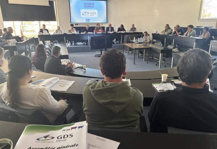 "Les introductions d'animaux dans les cheptels sont toujours à surveiller de près", prévient le président du GDS, Pascal Robichon.