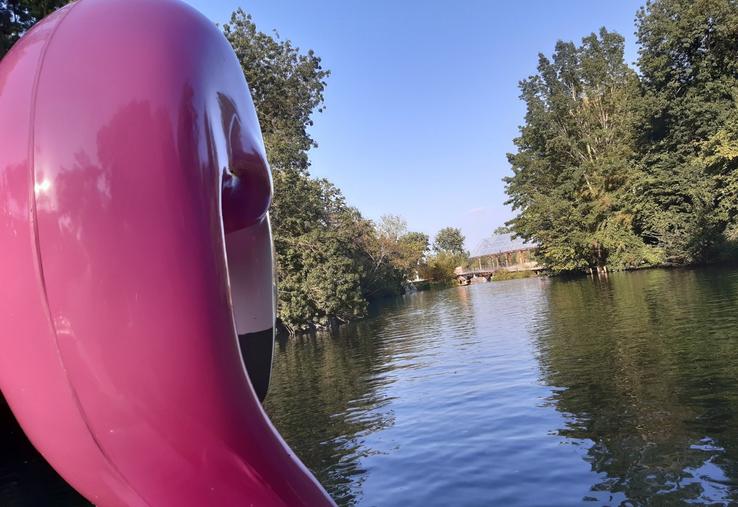 Didier flamant rose pedalo Tison Poitiers rivières clain