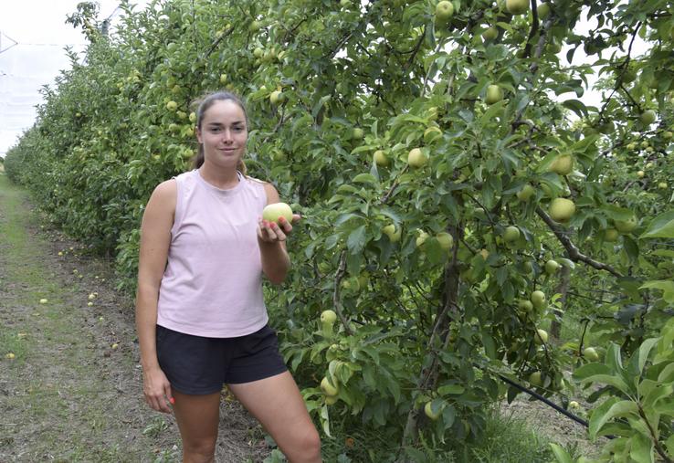 Victoria Sauvaitre dans un verger de Belchard Chanteclerc au Tastet, à Reignac.