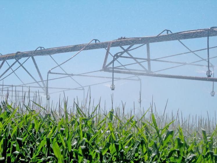 L’investissement dans un nouvel équipement d’irrigation doit se justifier en termes d’économies d’eau, si l’on souhaite recevoir une aide financière.