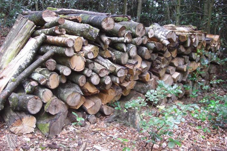Un quart de la récolte de bois régionale est destiné à la production d’énergie.