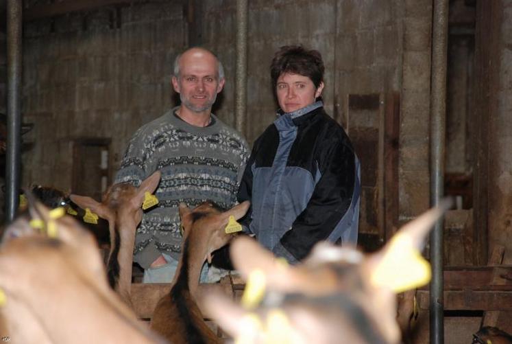Chaque année Jean-Luc et Nathalie Brunet pratiquent environ 80 IA sur les chevrettes. Pour limiter les risques sanitaires, les éleveurs n’achètent aucun animal.