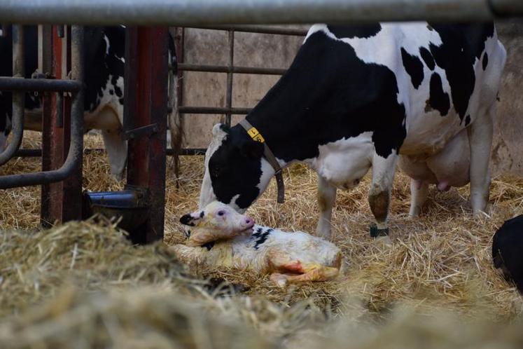 La nouvelle formule de calcul du prix du lait doit intégrer
des indices de prix des produits agricoles et/ou alimentaires
et des indices du prix de vente des principaux produits.